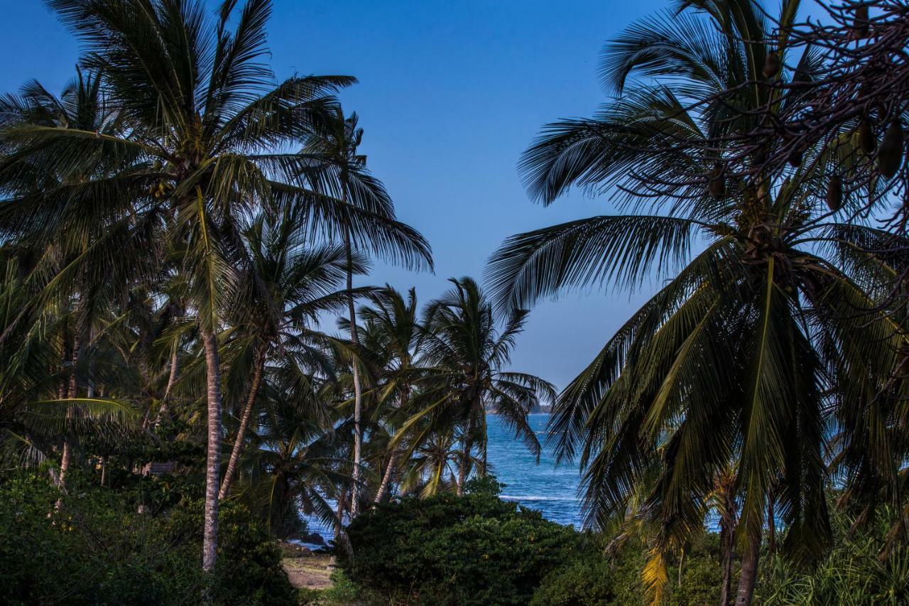 Msambweni Beach House Villa ภายนอก รูปภาพ