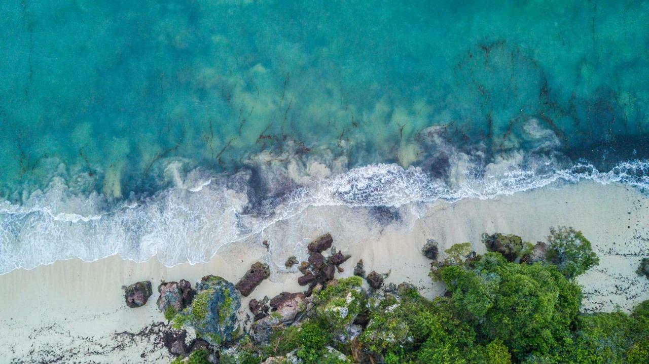 Msambweni Beach House Villa ภายนอก รูปภาพ